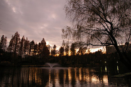 公園から