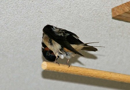 ここが一番落ち着く