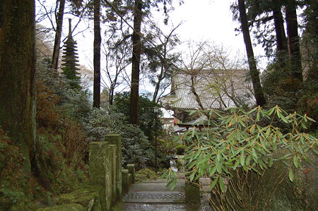飛鳥岡寺2009 3.20