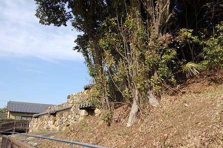 頭塔