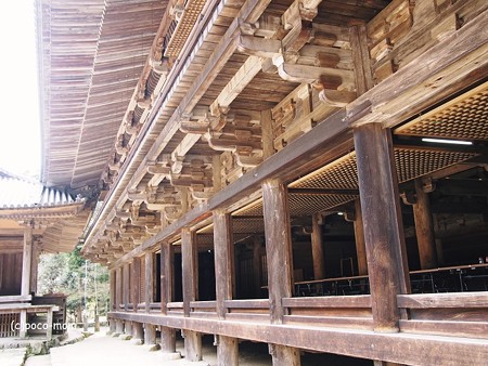 円教寺 食堂2014年04月12日_P4120166