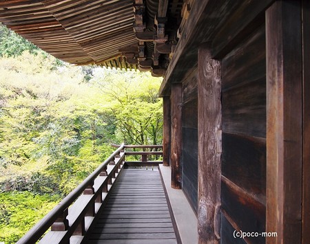 円教寺 食堂2014年04月12日_P4120189