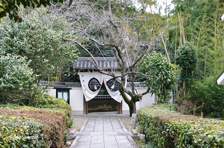 斑鳩吉田寺2014年02月10日_DSC_0401