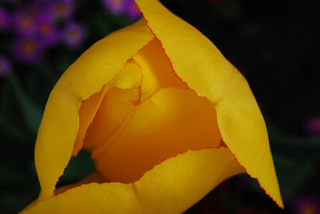 2009 05 08 163