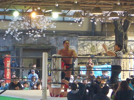 zero1