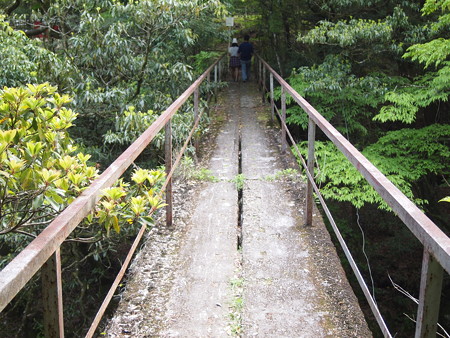 P5032415