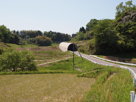P5042438