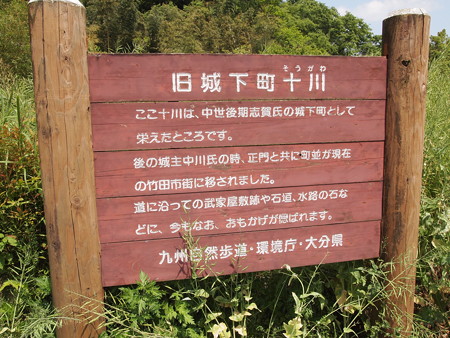 P5042519