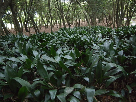 P1012802