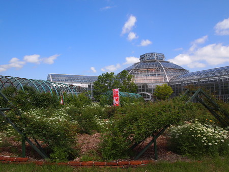 P1012853