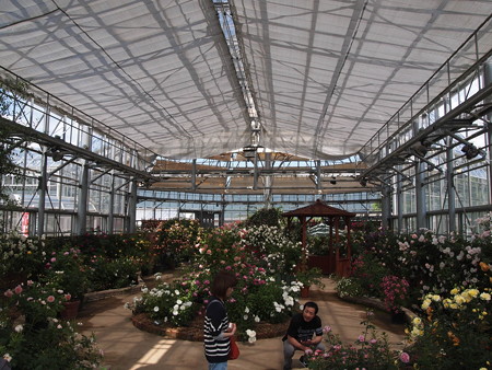 P1012861