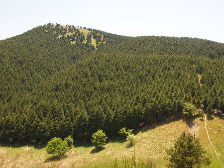 P5232977