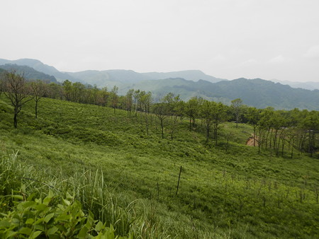 P5253846