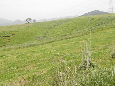 P5253894