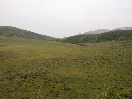 P6013359