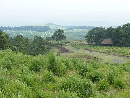 P6290392