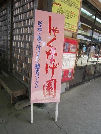 今だけ見られます