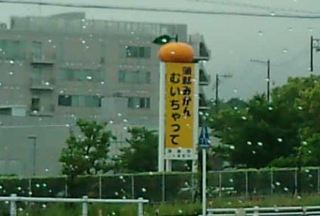 むいちゃってｗｗｗ