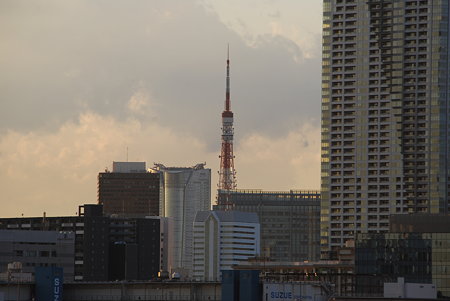 DSC_5231