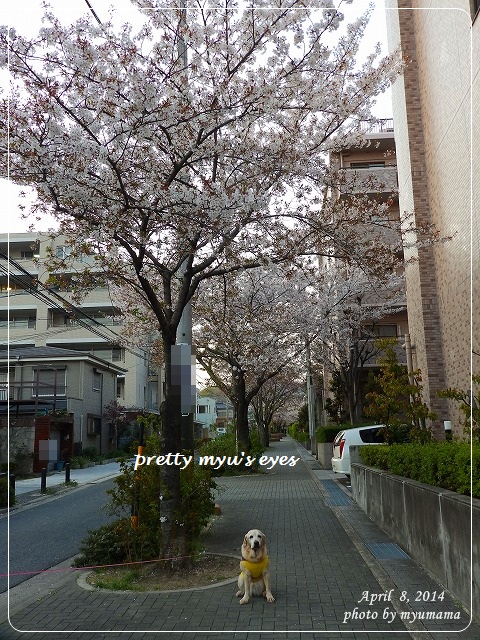写真: s-024