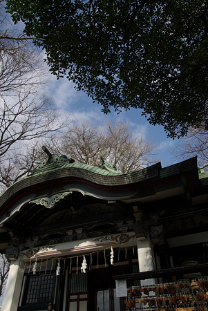 IMGP8629
