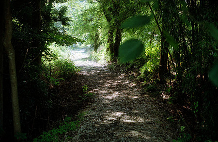 Image0062（KONICA AUTOREX P）