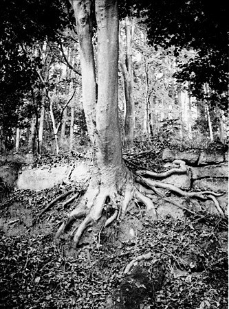 Image0253(RICOH AUTO HALF SE2)