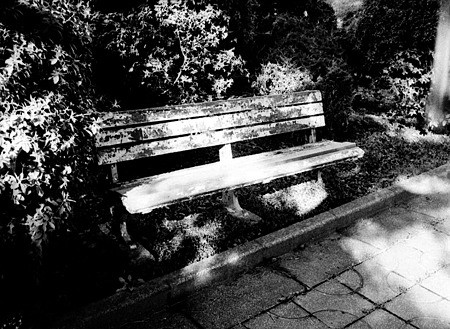 Image0265(RICOH AUTO HALF SE2)