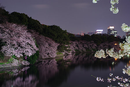 IMGP2445