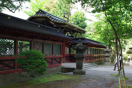 IMGP5019