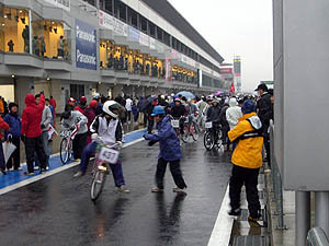 20080112minkarap3