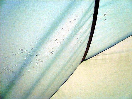 P1010966