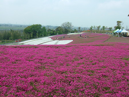 DSCF2639