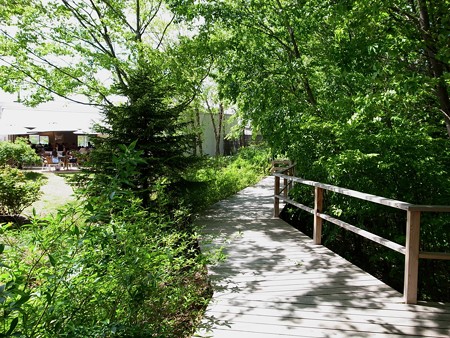 R0020452