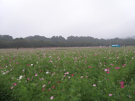 P9210526