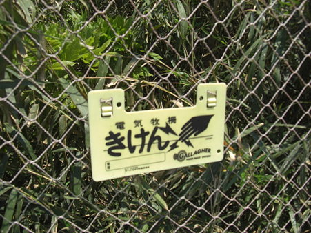 CIMG0887