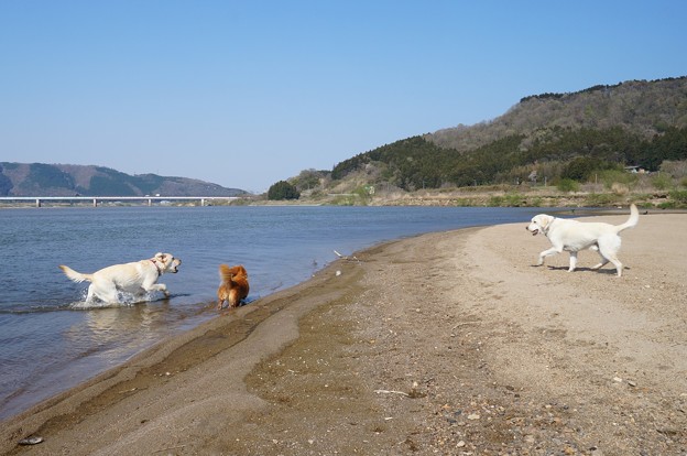 もう少しで夏日