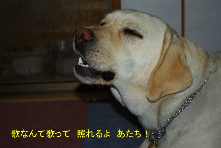 誕生日だってさ
