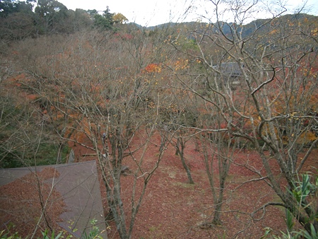 笠置寺2008 016