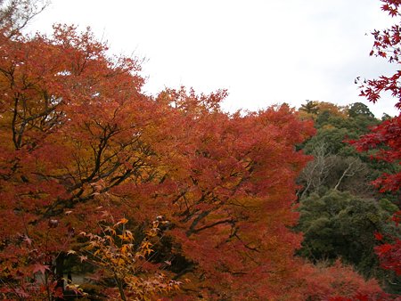 笠置寺2008 019