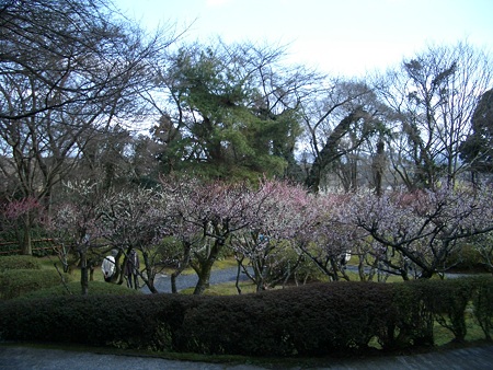 石山寺 045