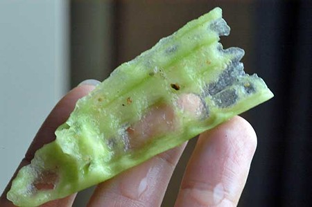 プレコが食べたキュウリ