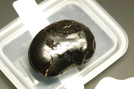 殻にキズをつけて発芽うながす