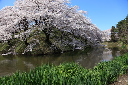 5月の準備も始まる