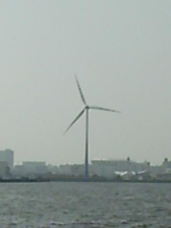 IN 横浜港内 (1)