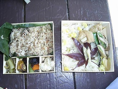 081018-小淵沢駅の駅弁 (2)
