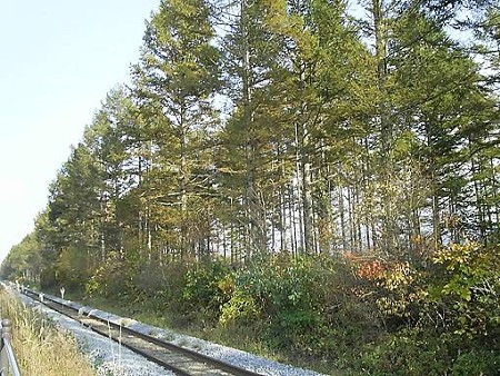 081018-JR最高地点 (11)