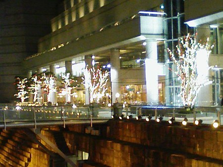 081201-クリスマスイルミネーション (21)
