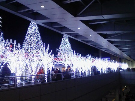 081227-テラス夜 (4)