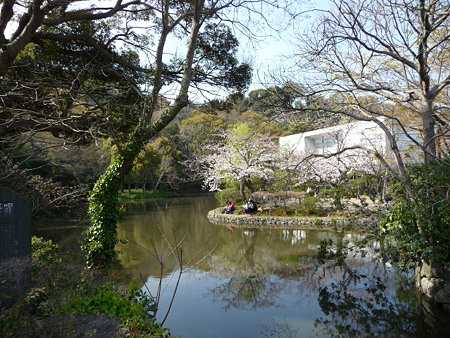 090403-八幡様 (4)